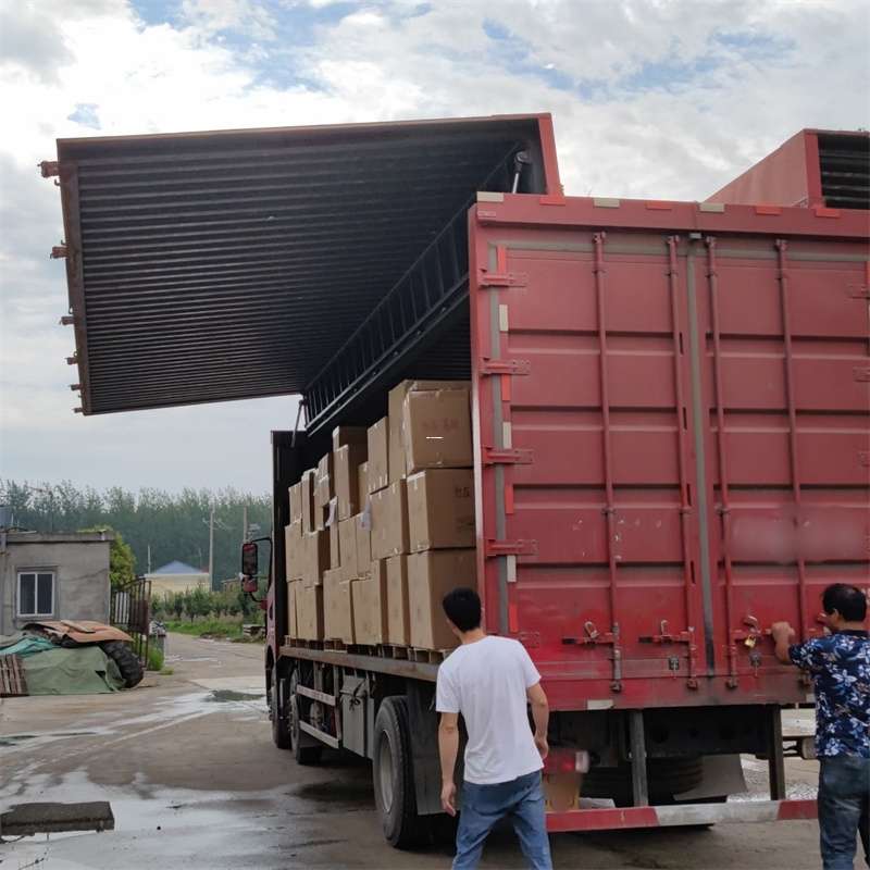 新乡市扎囊县：物流专线的高效货运之旅